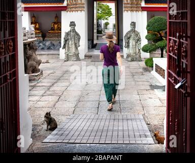 Frau Tourist in der Nähe von alten königlichen Stupas und Pagoden in Wat Pho Tempel in Bangkok bei Sonnenuntergang Stockfoto