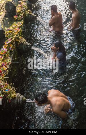 Vier balinesische Hindu-Jugendliche reinigen sich und beten in den Wasserspeiern des Pura Tirtha-Tempels an einem ruhigen frühen Morgen ohne Touristen. Stockfoto