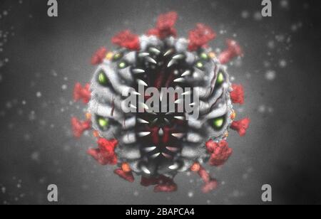 Corona-Virus, Covid-19-Virus, Vorderansicht, Mikroskopisches Monster Stockfoto