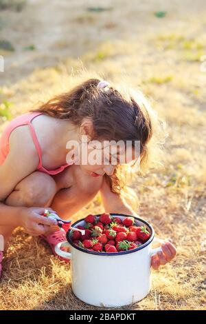 Portrait von niedlichem kleinen Gir, das Erdbeeren am Sommertag spielt und isst Stockfoto