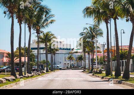 Palmenreihen säumen beide Seiten einer leeren Straße in Philipsburg, St. Maarten Stockfoto