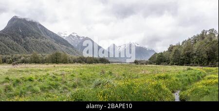 Landschaft mit grünen Wiesen im Bergtal in der Nähe von Knobs Flat, in hell bewölktem Licht im Fiordland Park, Southland, South Island, Neuseeland Stockfoto