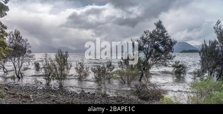 Landschaft mit Bäumen auf Vorland am Te Anau Lake, in hell bewölktem Licht in Pleasant Bay, Southland, South Island, Neuseeland Stockfoto