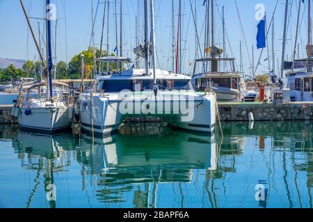 Sonniger Tag am Jachthafen. Segelkatamaran und viele Masten anderer Yachten Stockfoto