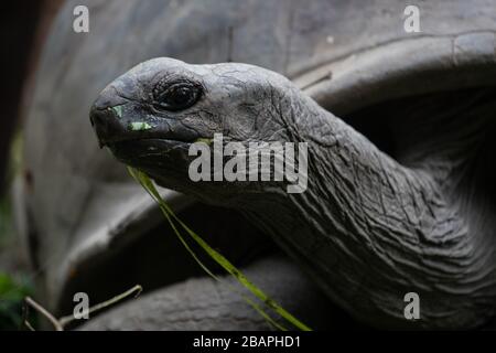 Copyright Stephen Lioy - Fotografie und Travel Media Stockfoto