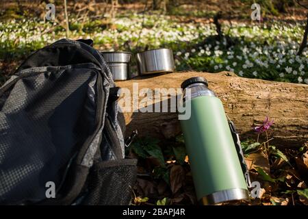 Zwei Tassen, Thermos-Flasche und Rucksack lehnen sich im Wald an Baumstamm. Konzept des Naturschutzes, des Umweltschutzes und des gesunden Lebensstils Stockfoto