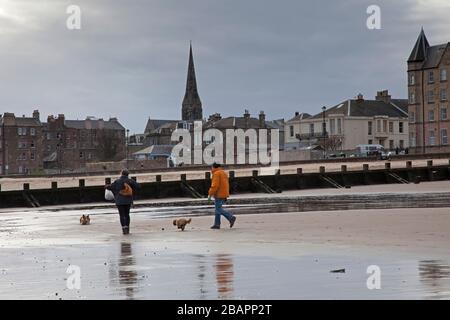 Portobello, Edinburgh, Schottland, Großbritannien. 29. März 2020. Paar gehen ihre Hunde entlang des ungewöhnlich leeren Strandes am Firth of Forth, während sie an diesem bewölkten Morgen bei 3 Grad Celsius ihre erlaubte Zeit des Exercise nehmen, während der gelegentliche Sonnenstrahl durch die Wolken guckt. Stockfoto