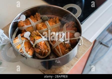 Gedämpfte Hairy Red River Crab. Gebundener Krabben im Dampfgarer Pot zu Hause gekocht. Stockfoto