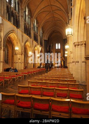 Innenräume der Christ-Church-Kathedrale oder, was noch eher der Fall ist, der Kathedrale der Heiligen Dreifaltigkeit in Dublin, Irland, Republik Irland Stockfoto