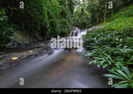 Mae wong Wasserfälle nördlich in thailand, Chiangmai, Thailand. Stockfoto