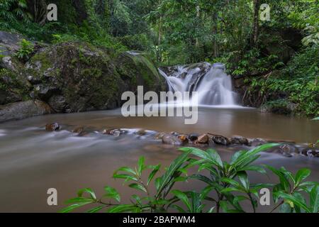 Mae wong Wasserfälle nördlich in thailand, Chiangmai, Thailand. Stockfoto