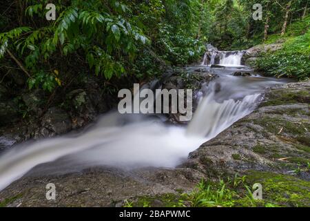 Mae wong Wasserfälle nördlich in thailand, Chiangmai, Thailand. Stockfoto