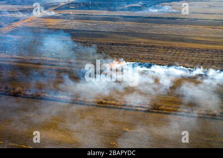 Die Folgen von Naturbränden in den Steppen der Region Astrachan, Russland. Stockfoto