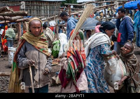 Marktplatz. Aussteigen. Simien Berge. Nord-Äthiopien. Eine Mädchen mit Brennholz auf dem Debark Markt geladen. Aussteigen hat ein paar Läden und Stände, wo Stockfoto