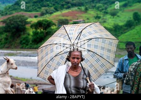 Marktplatz. Aussteigen. Simien Berge. Nord-Äthiopien. Eine Mädchen mit Brennholz auf dem Debark Markt geladen. Aussteigen hat ein paar Läden und Stände, wo Stockfoto