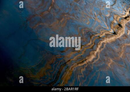 Baumbesinnung auf das marmorierte Gemälde des Lake Stockfoto