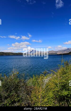 Sommeransicht von Lago del Torro, Torres de Paine, Magallanes Region, Patagonien, Chile, Südamerika Stockfoto