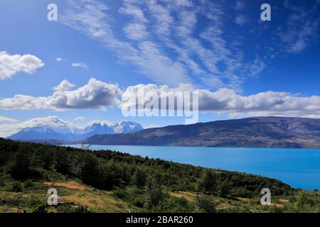 Sommeransicht von Lago del Torro, Torres de Paine, Magallanes Region, Patagonien, Chile, Südamerika Stockfoto