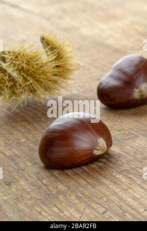Frische süße Kastanienfrüchte auf einem Holzschneidebrett in der Nähe Stockfoto