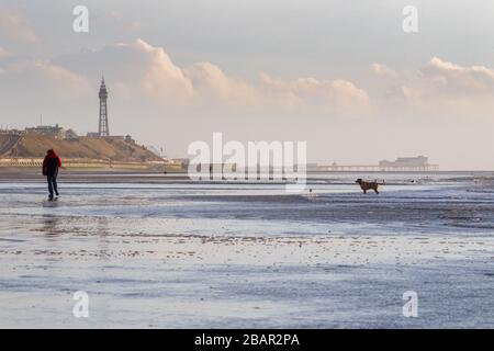 Ein Hundehalter und sein Hund, isoliert an einem Strand an der Fylde Coast, Lancashire, Großbritannien Stockfoto