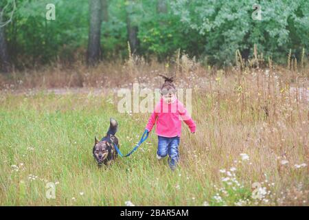 Kleines Mädchen, das mit einem Hund im Freien im Park läuft und den Hund an der Leine hält Stockfoto