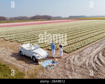 Lisse Niederlande April 2019, EIN klassischer, weißer Volkswagen Käfer auf einer mit Blumen bedeckten Wiese in der Birnenregion mit blühenden Frühlingsblumen und Stockfoto