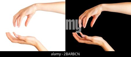Satz von Frauen Hände nehmen oder etwas auf schwarzem Hintergrund angezeigt. Mit Freistellungspfad isoliert. Stockfoto