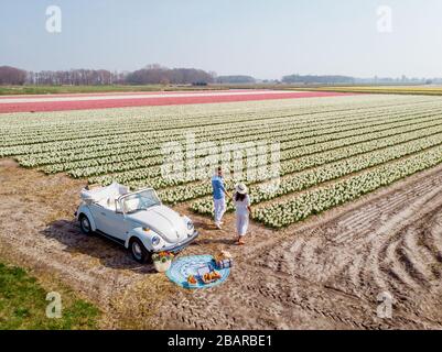 Lisse Niederlande April 2019, EIN klassischer, weißer Volkswagen Käfer auf einer mit Blumen bedeckten Wiese in der Birnenregion mit blühenden Frühlingsblumen und Stockfoto