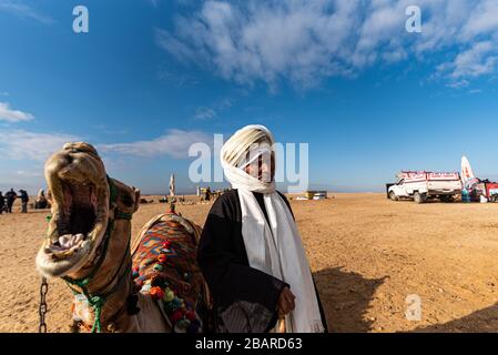 Giza-Pyramiden, Kamel, Kairo Ägypten Stockfoto