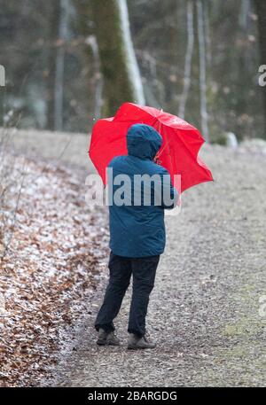 Bielefeld, Deutschland. März 2020. Ein Wanderer erschließt auf einem schneebedeckten Wanderweg im Teutenburger Wald einen roten Regenschirm. Nach dem frühlingsartigen Wetter der vergangenen Tage mit zweistelligen Temperaturen schneit es in Teilen von Nordrhein-Westfalen. Credit: Friso Gentsch / dpa / Alamy Live News Stockfoto