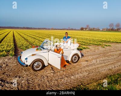 Lisse Niederlande April 2019, EIN klassischer, weißer Volkswagen Käfer auf einer mit Blumen bedeckten Wiese in der Birnenregion mit blühenden Frühlingsblumen und Stockfoto