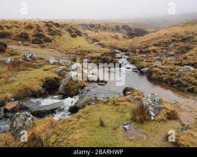 Fußweg über den Red-a-ven Brook, während er über Felsen unter Nebel und Niederwolke kaskadiert, Dartmoor-Nationalpark, Devon Stockfoto