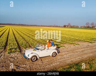 Lisse Niederlande April 2019, EIN klassischer, weißer Volkswagen Käfer auf einer mit Blumen bedeckten Wiese in der Birnenregion mit blühenden Frühlingsblumen und Stockfoto