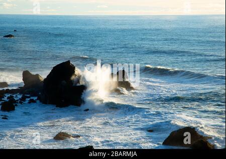 Blick vom Wedding Rock, Patrick's Point State Park, Kalifornien Stockfoto