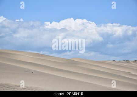 Windgeblasenes Sandwellen schließen Sigatoka-Dünen Fiji Stockfoto