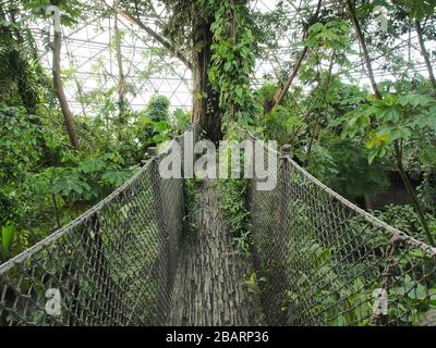 Hängebrücke in Randers Regnskov, Dänemark Stockfoto