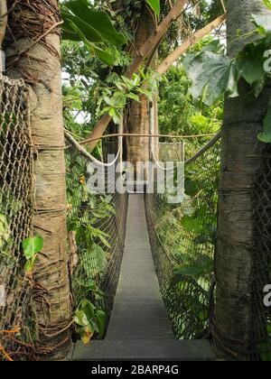 Hängebrücke in Randers Regnskov, Dänemark Stockfoto