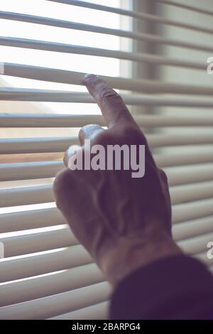 Die männliche Hand berührt die Jalousien, um nach draußen zu schauen, mit einem Finger am Metallverschluss Stockfoto