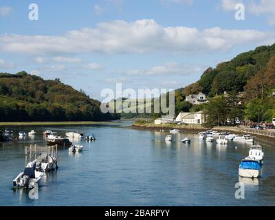 Blick ins Landesinnere entlang des East Looe River, Looe, Cornwall, Großbritannien Stockfoto