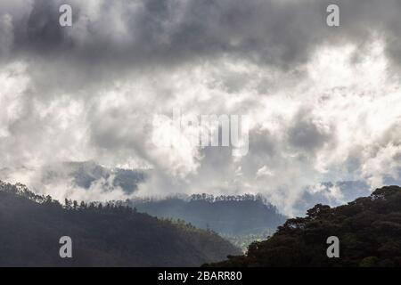 Dramatische Wolken auf dem Abstieg vom Adam's Peak (Sri Pada) in der Nähe von Dalhousie im Hügelland Sri Lankas Stockfoto