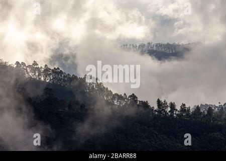 Dramatische Wolken auf dem Abstieg vom Adam's Peak (Sri Pada) in der Nähe von Dalhousie im Hügelland Sri Lankas Stockfoto