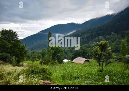 Ein auffälliger Blick auf Paddy Fields in Pahalgam Kashmir, indien. Stockfoto