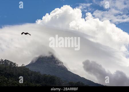 Dramatische Wolken über dem Adam's Peak (Sri Pada) im Hügelland Sri Lankas mit im Vordergrund fliegenden Vögeln Stockfoto