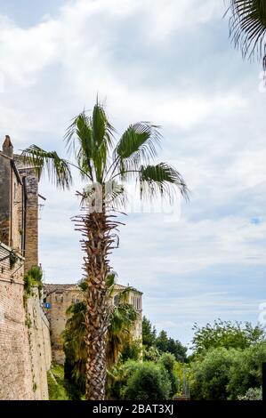 Auf den Straßen von Torre di Palme, Fermo, Marken, Italien. Typische Straße des historischen Dorfes, eines der schönsten Dörfer Italiens. Stockfoto