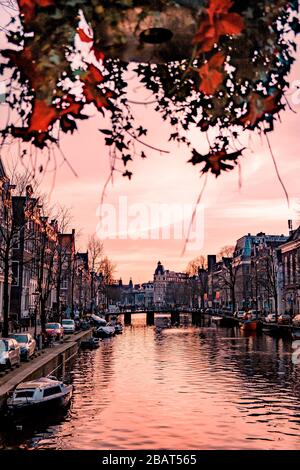 Amsterdam Niederlande schöner Groenburgwal-Kanal in Amsterdam mit der Souternkirche Zuiderkerk bei Sonnenuntergang Stockfoto