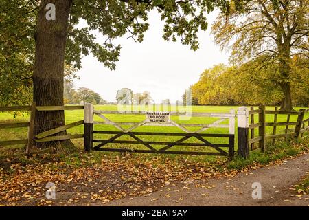 Private Grundstücke, keine Hunde erlaubt, Schild am Landtor auf dem Bauernhof in Cheshire UK Stockfoto