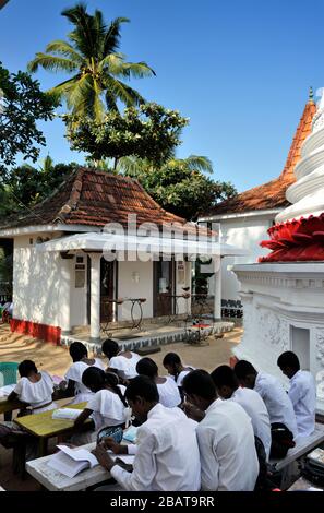 Sri Lanka, Mirissa, Dhammikagiri Viharaya buddhistischer Tempel, Sonntagsbuddhismusschule Stockfoto