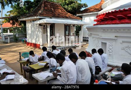 Sri Lanka, Mirissa, Dhammikagiri Viharaya buddhistischer Tempel, Sonntagsbuddhismusschule Stockfoto