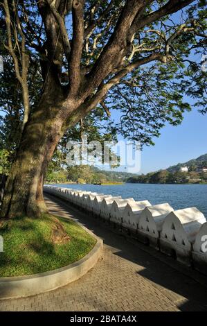 Sri Lanka, Kandy, See und Promenade Stockfoto