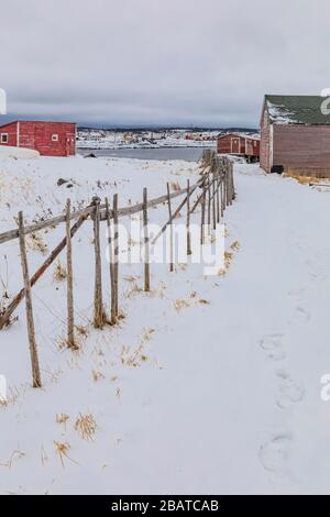 Etappen und Zäune entlang des Tilting Harbor im historischen Fischerdorf Tilting, auf Fogo Island in Neufundland, Kanada [keine Freigabe für Immobilien; verfügbar Stockfoto